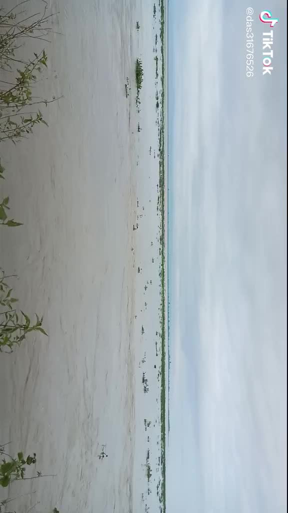 @Juli gogoi Lahon