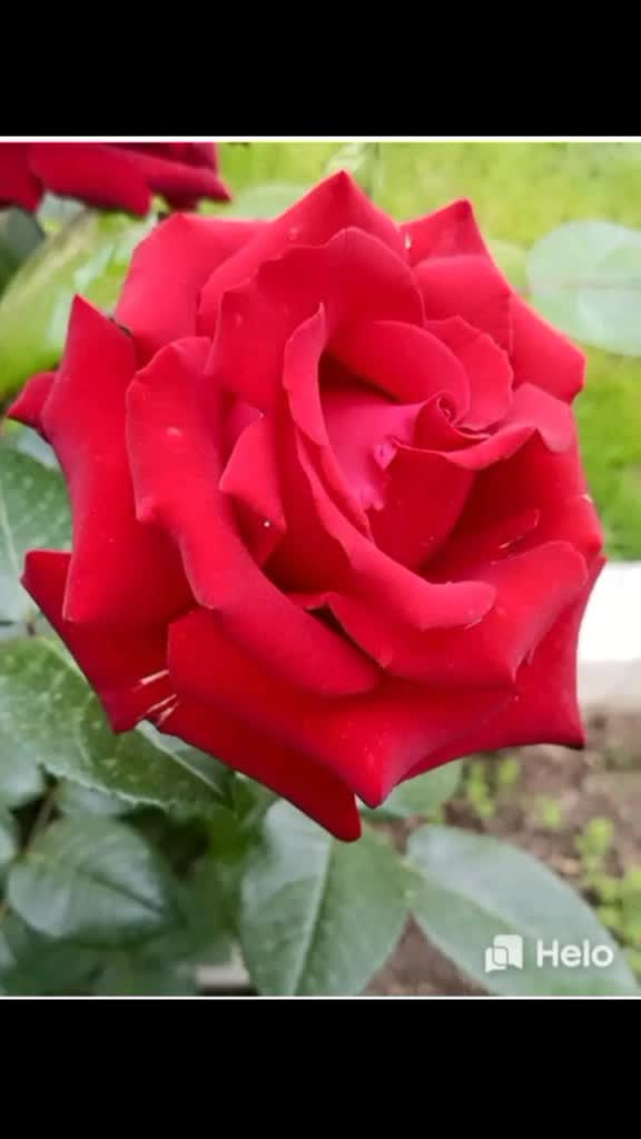 @Kanchan Tak796 Rahul