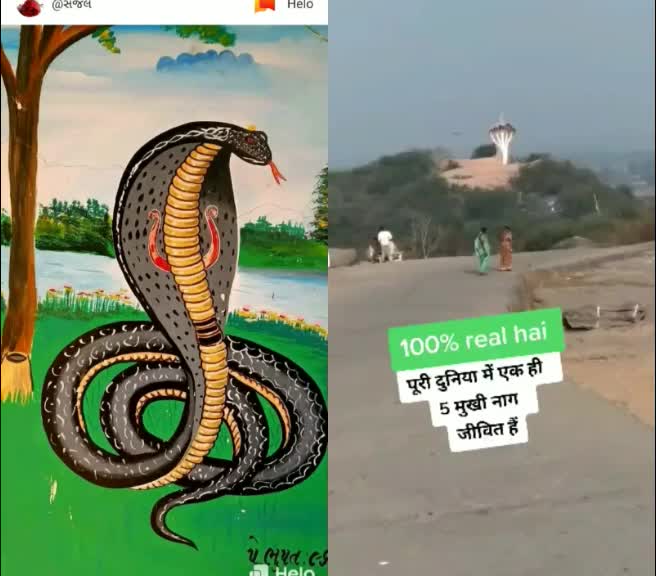@નવઘણ ઠાકોર