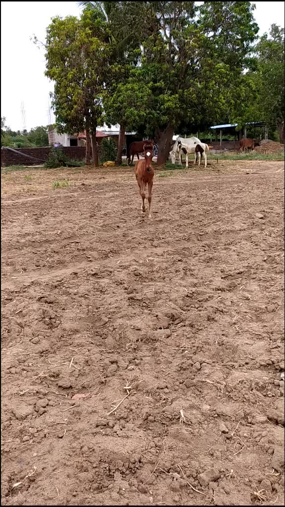 @Deepak khaniya