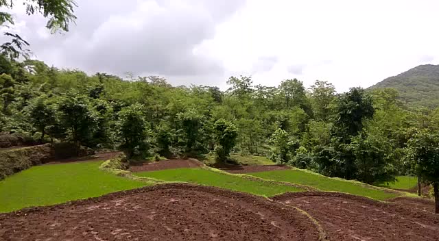 @vaishnavi vinjale