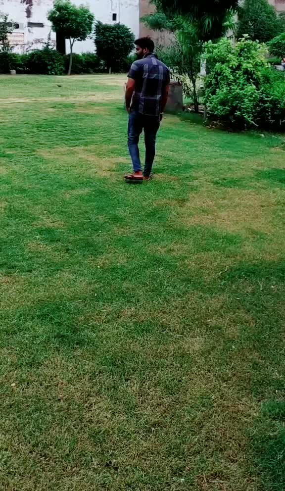 @Aman Chauhan