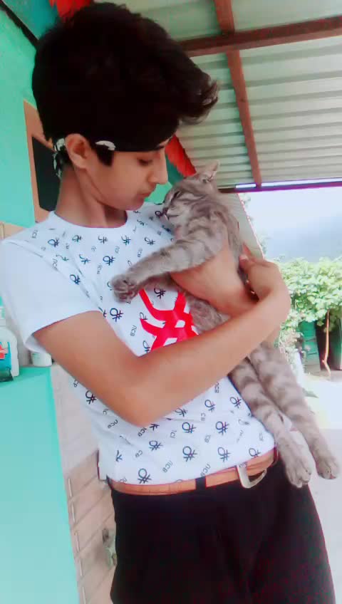 @rajput shivani verma
