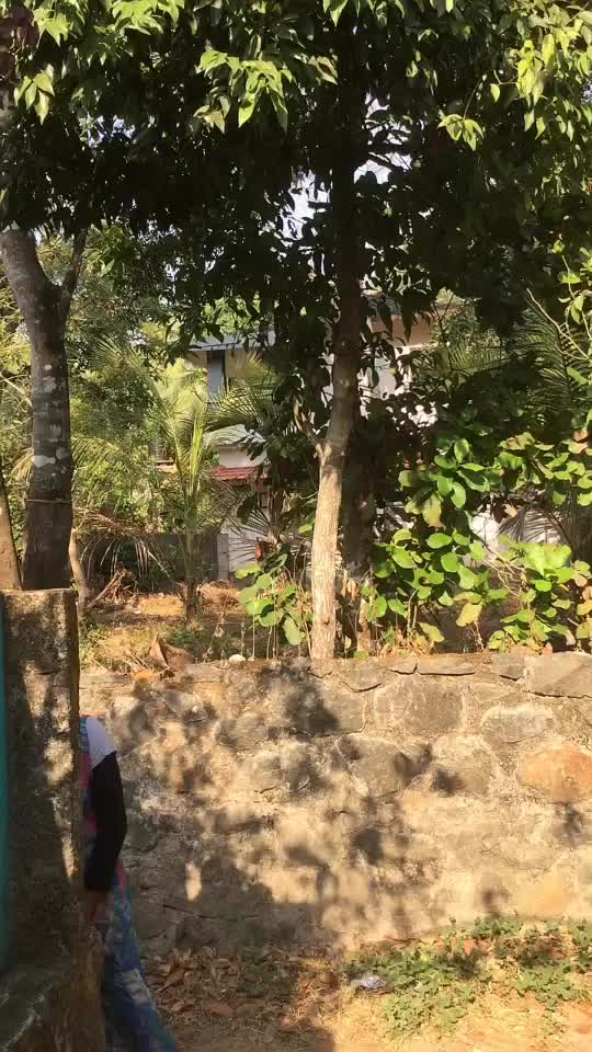 @thamanna