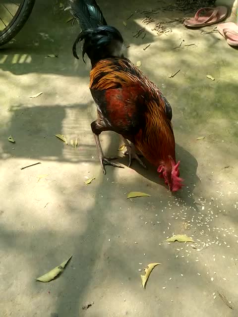 @Mr.uJaLe.KhAn