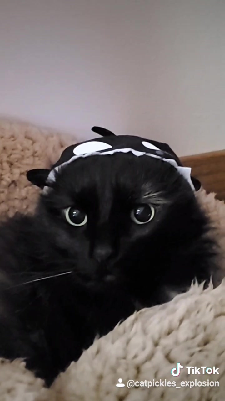 @💜🐸💜
