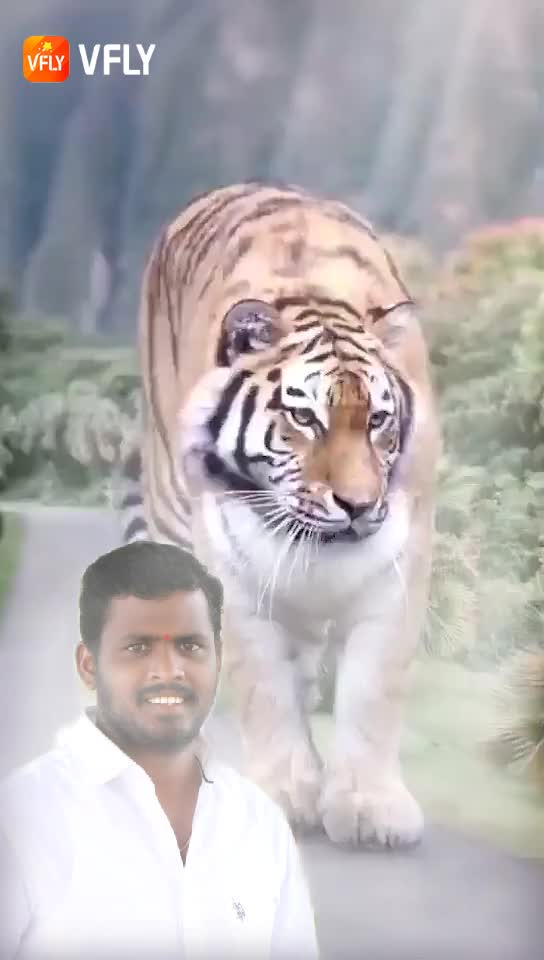 @Chinnapaka Venkanna