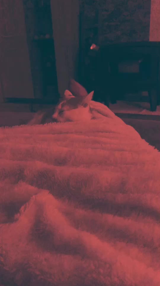 @Juf.Lynn.x