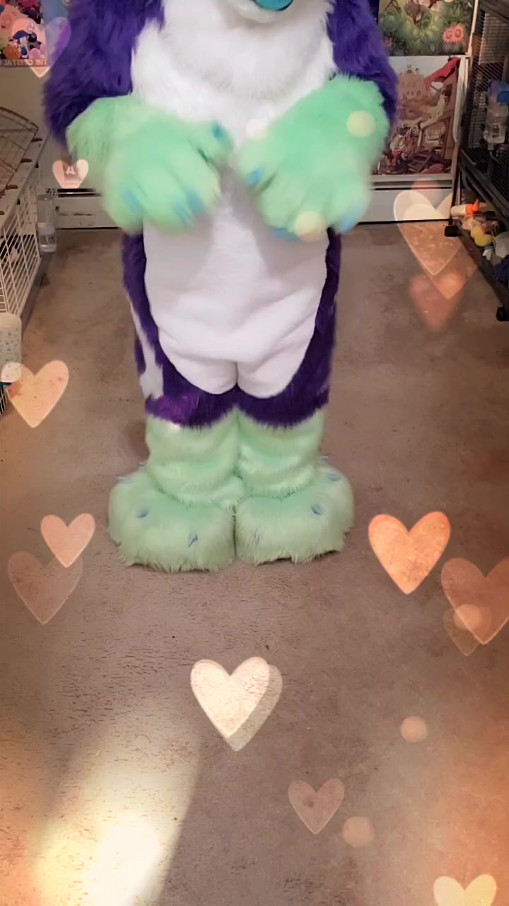 @Luna Husky