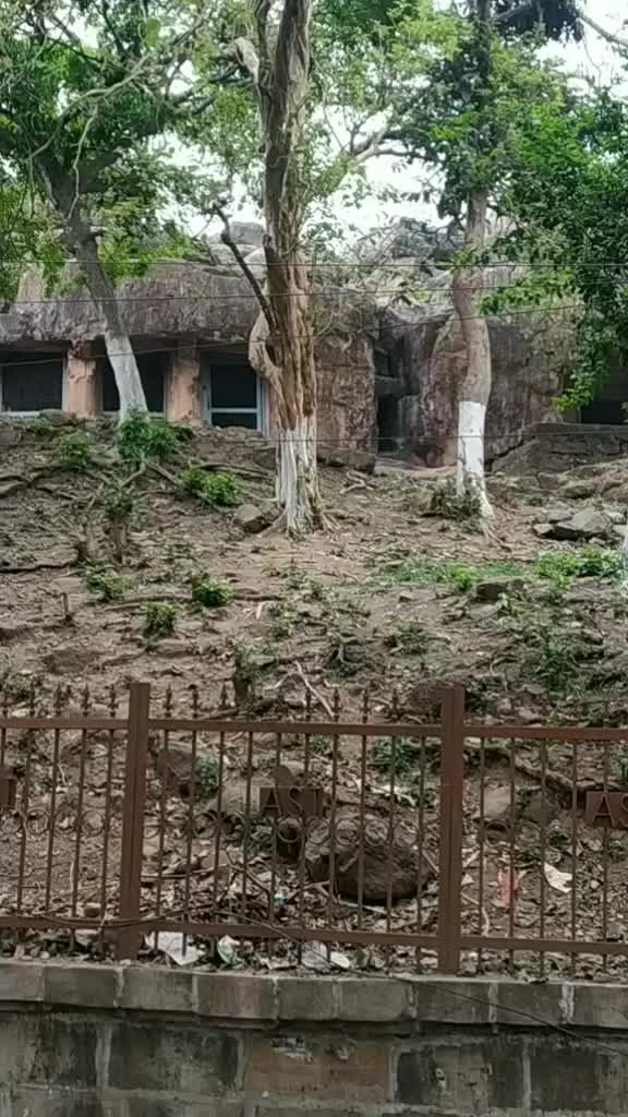 @bibhudutta