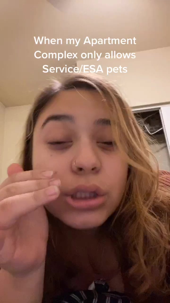 @Berenis