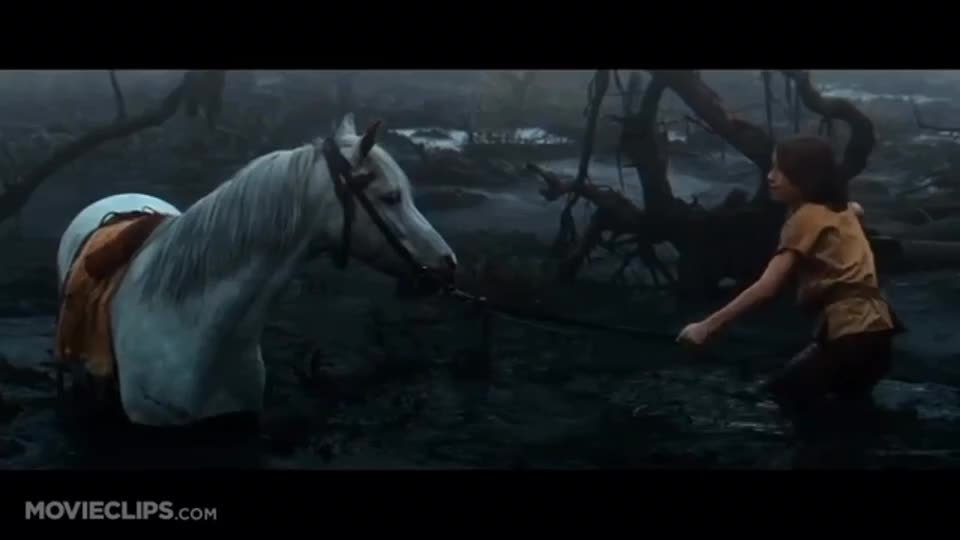 @🖇horses🖇