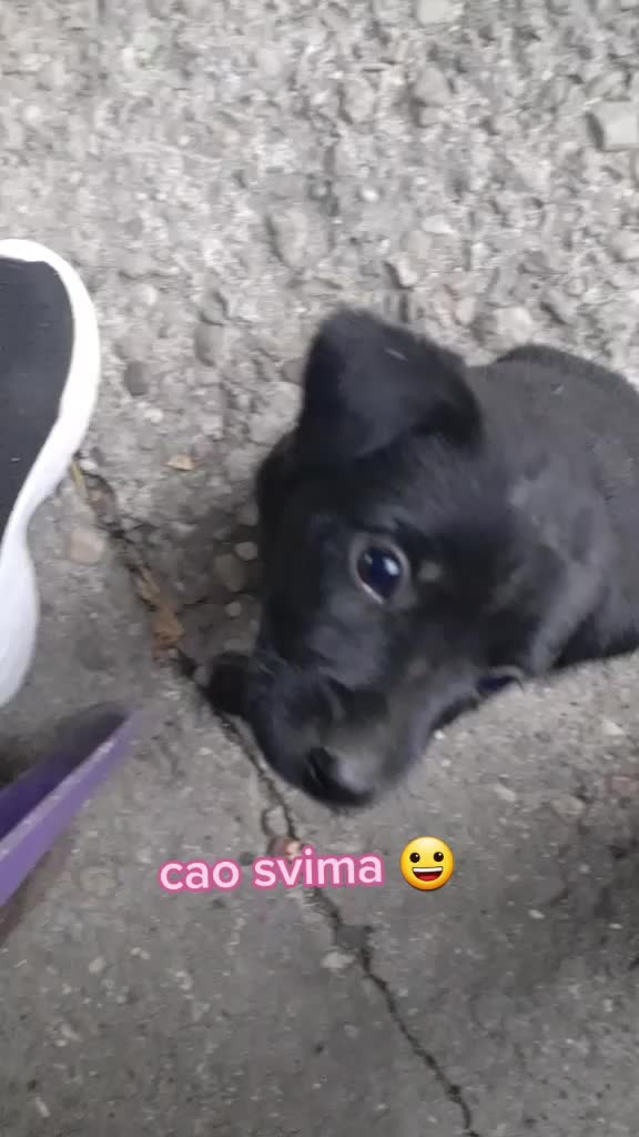 @love animals🥺❤