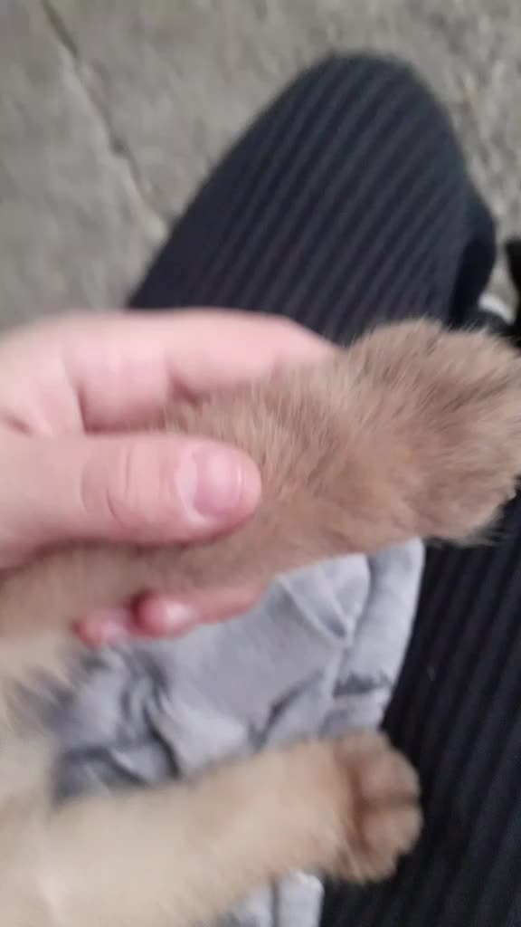 @love animals🥺❤