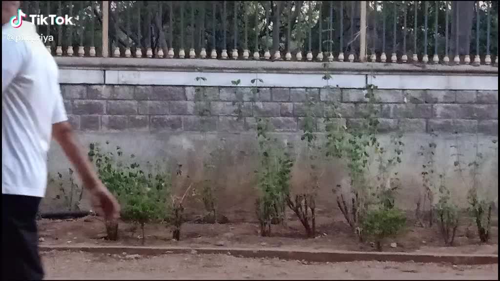 @★[NIKᕼIᒪ Aᒪᒪᑌ Aᖇᒍᑌᑎ★