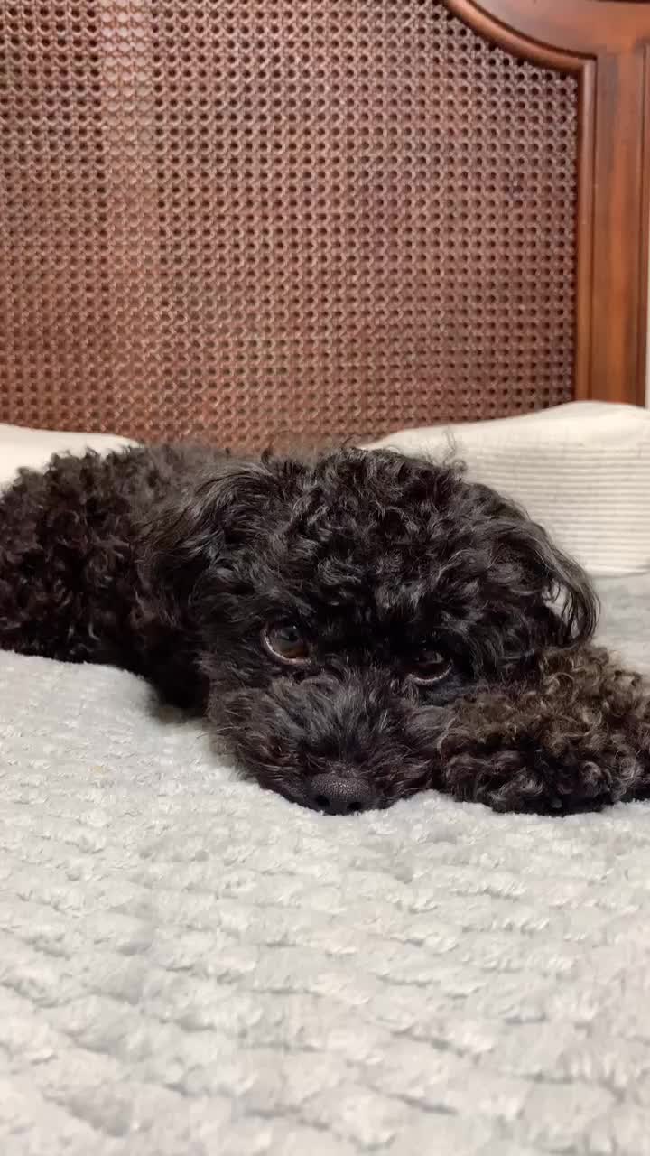 @김현진