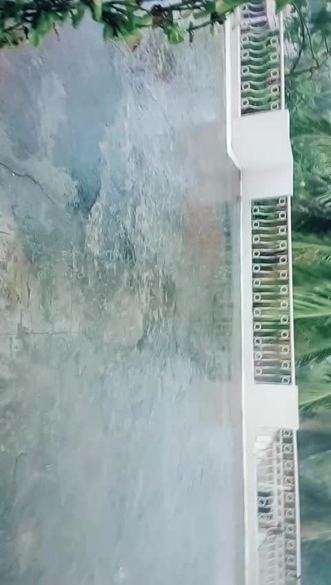 @D&ecirc;v&iuml;ẞr&egrave;&eacute;M@&ntilde;jū