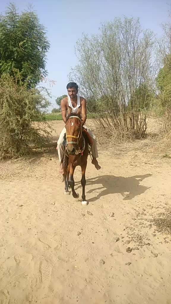 @🔥🔥RABARI🔥 RJ🔥