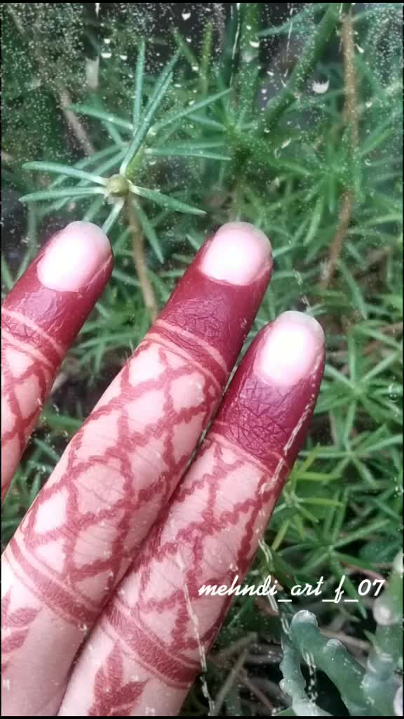 @Khushi Ansari