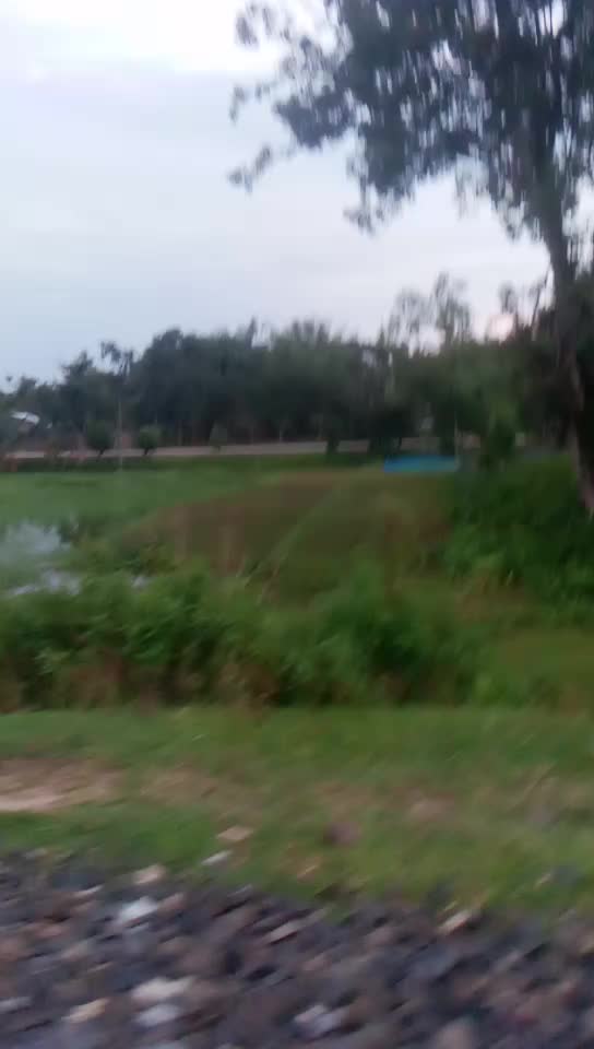 @Rashmi Rekha
