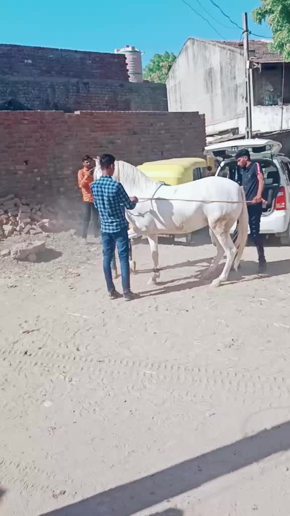 @Sandhi Javedali