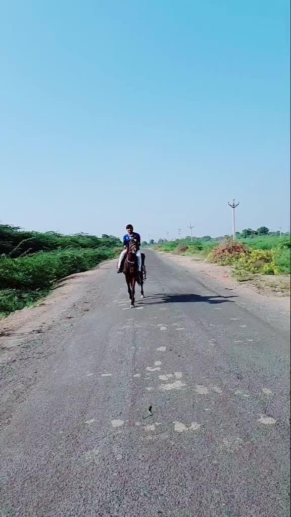 @# DINESH BOLIYA 8182