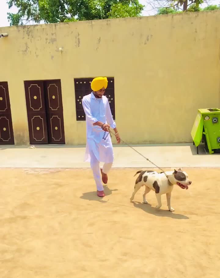 @Arvinder Aulakh