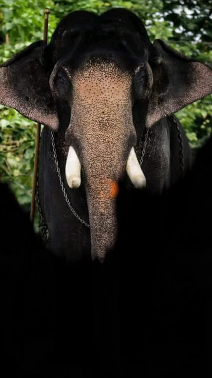 @Akilesh Krishnan