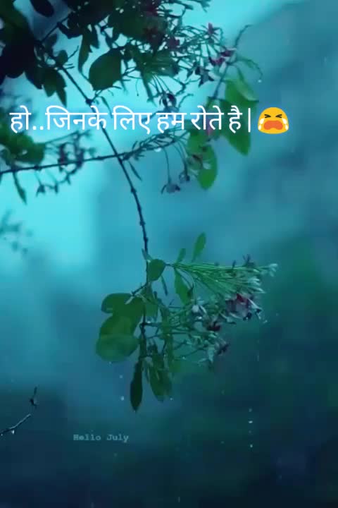 @_🖤_