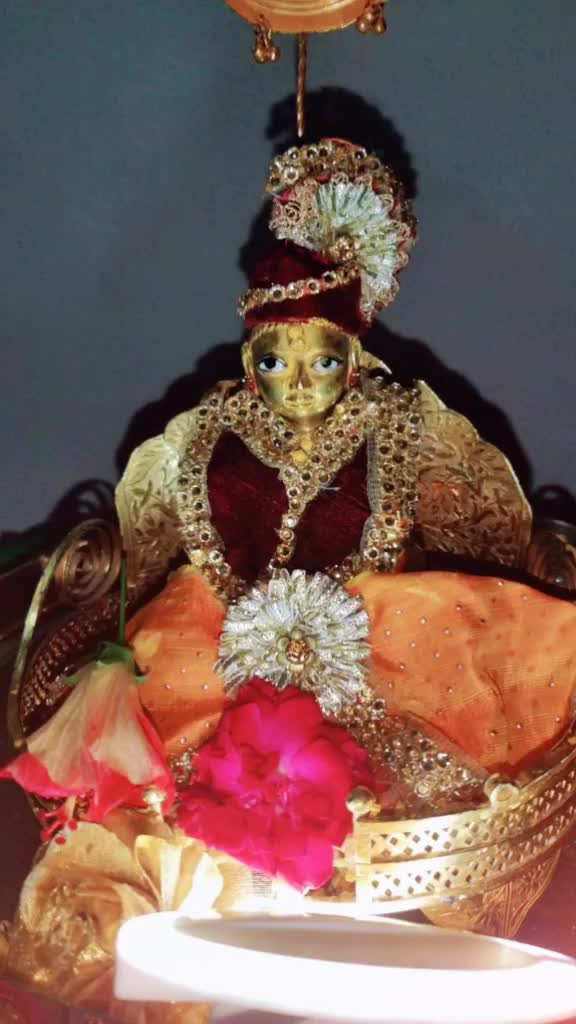 @Sneha Shah