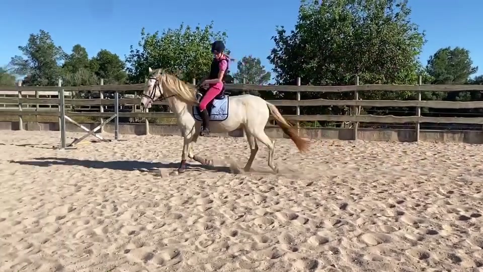 @🐴💎🥰