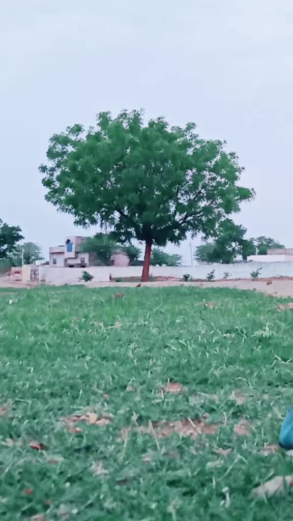 @Røshāñ