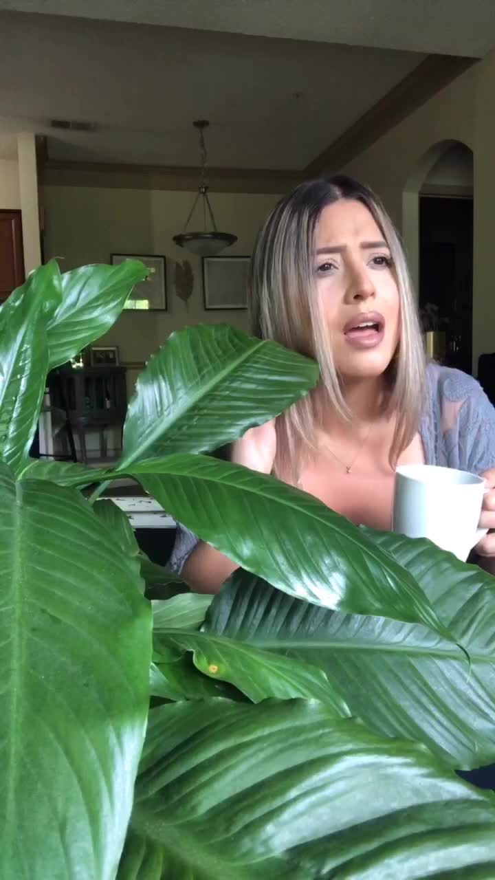@linaperhai