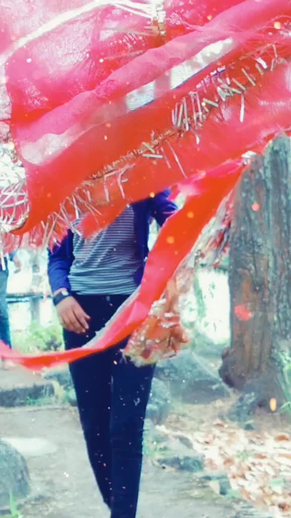 @prachi bohra