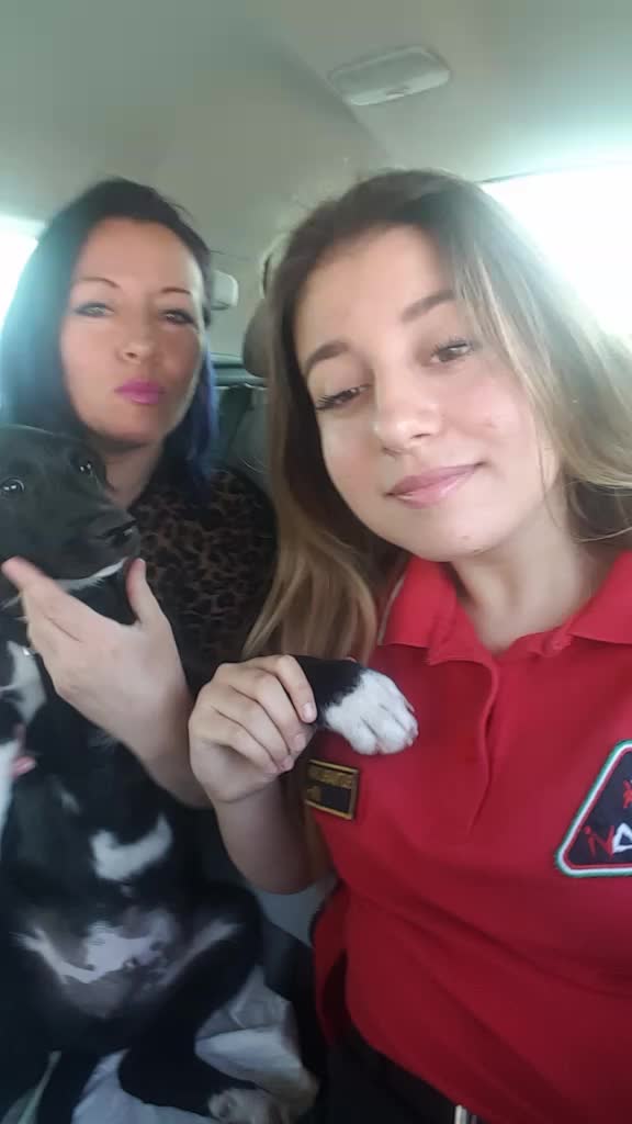 @Mihaela Butnaru