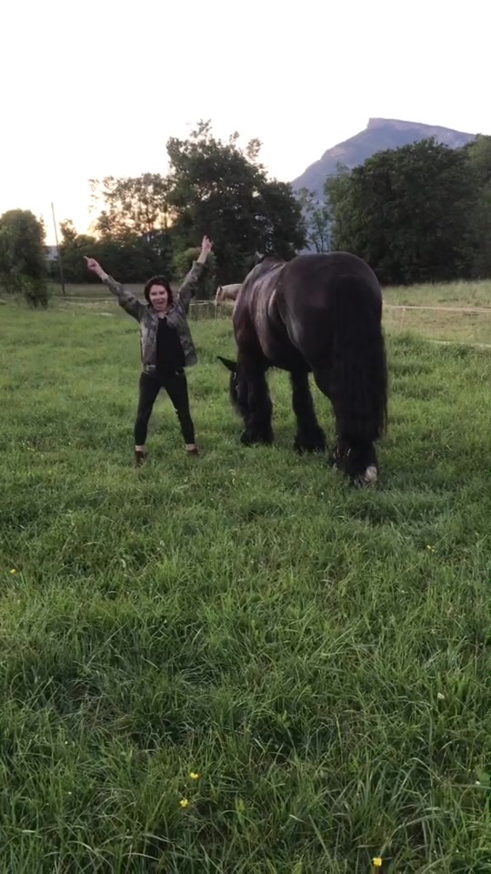 @Untraitdecheval