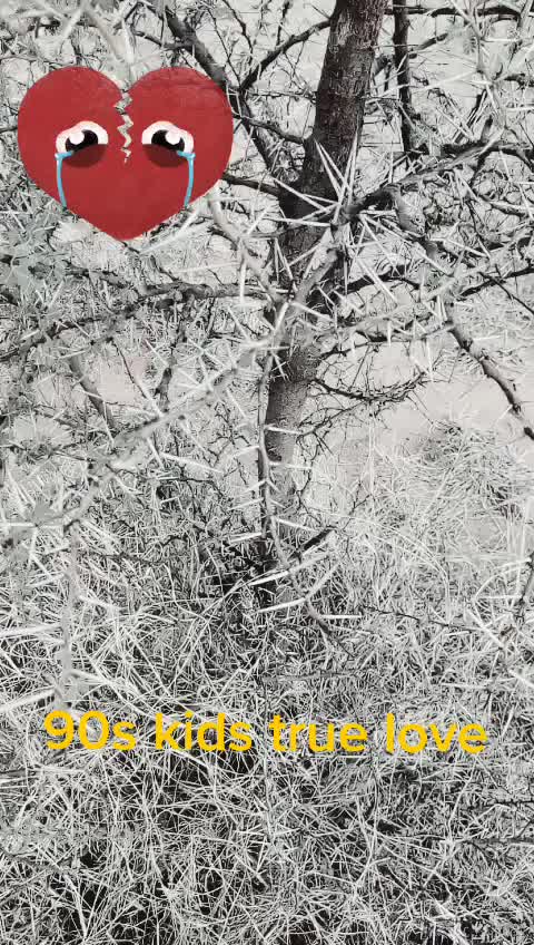 @Selva Kumar