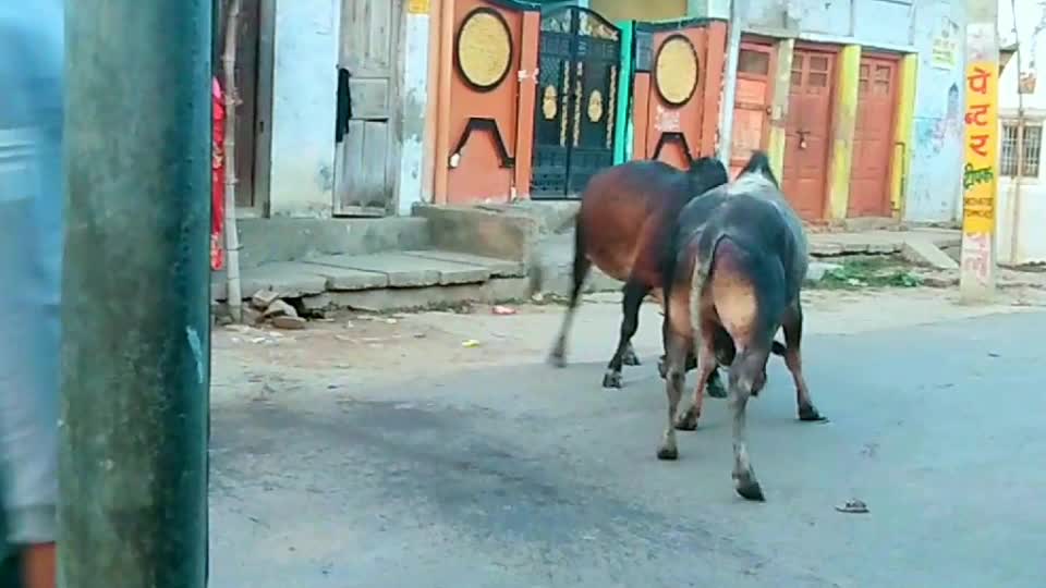 @Hari Om Soni