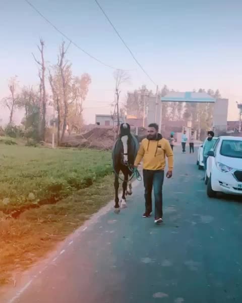 @hardeepkaler5656