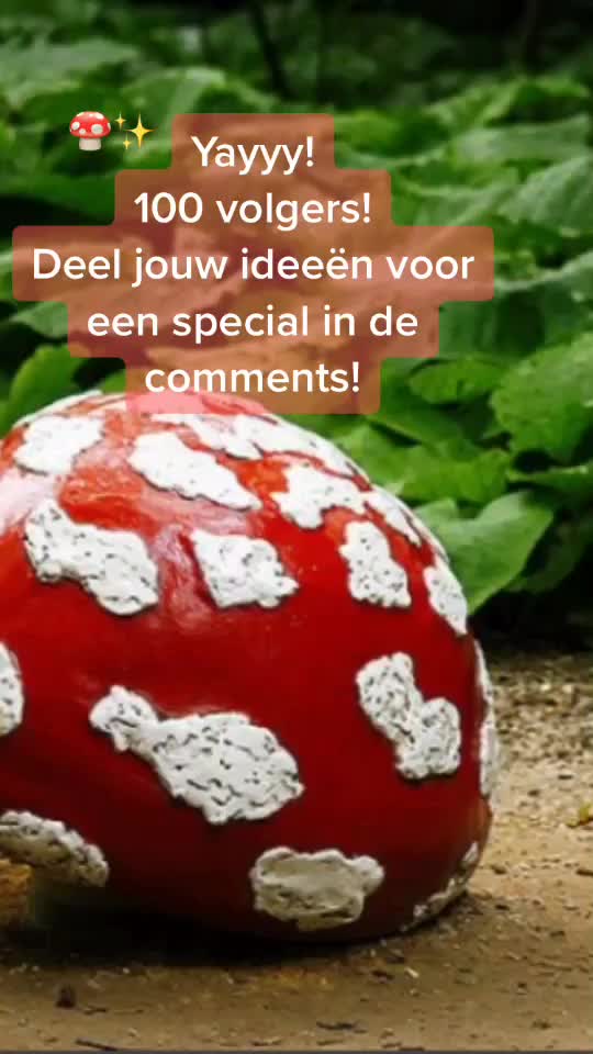 @✨Eftelweetjes✨