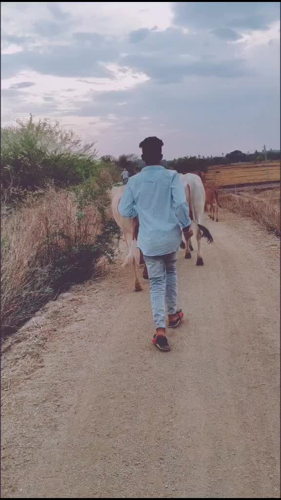 @Mohanbhai