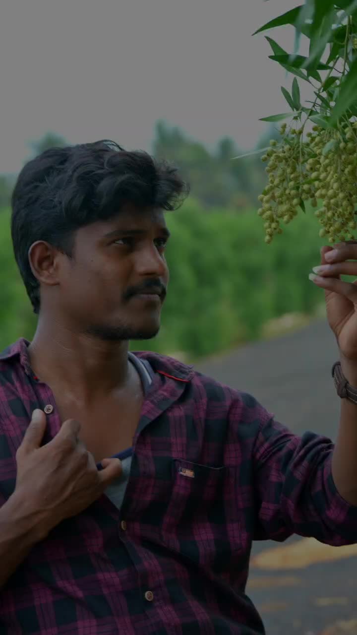 @గోదారోడు