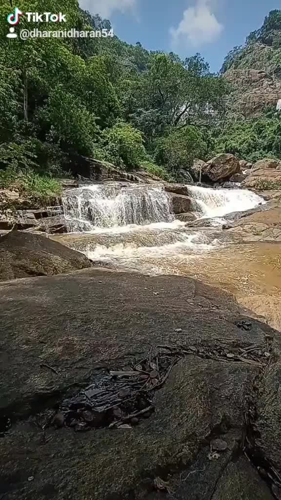 @கா.தரணி