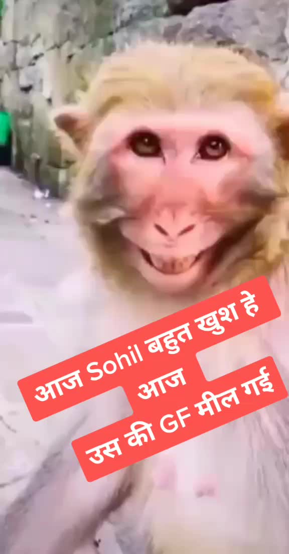 @hajiii