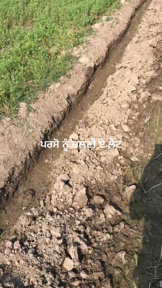 @SIMRAN SIDHU ਪੱਤਰਕਾਰ