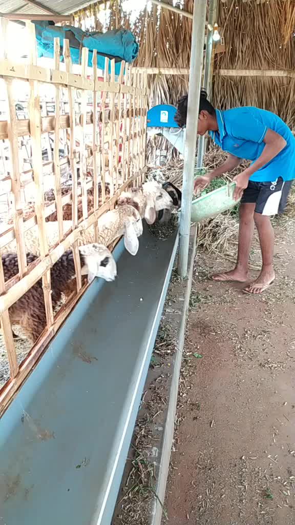 @Naru Nari