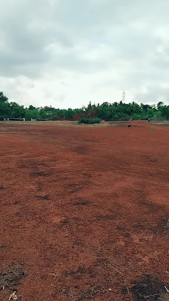 @suresharladka