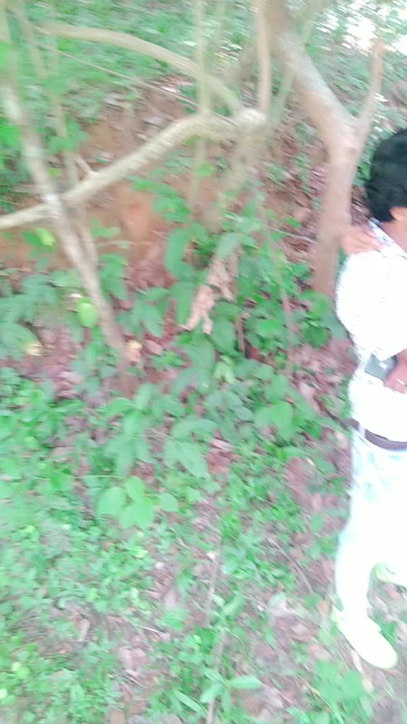 @Sujith Kuttan