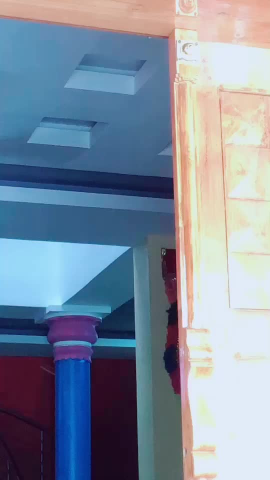 @veenapillai997