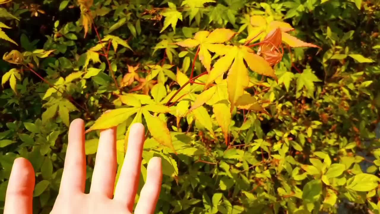 @𝐓𝐄𝐃𝐃𝐘 𝐁𝐄𝐀𝐑㋛